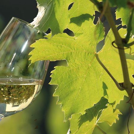דירות ברידל Weingut Rosenbaum מראה חיצוני תמונה